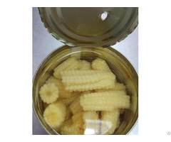 Canned Baby Corn Cut Whole In Salted Water