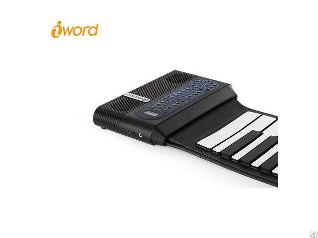 Iword S3061 61 Keys Roll Up Piano Built In Dual Speaker