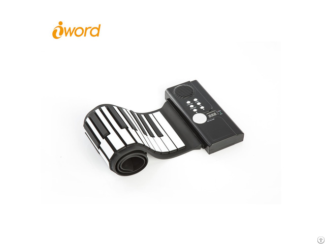 Iword S2029 49 61 Keys Roll Up Piano With Durable Silicone Keyboard