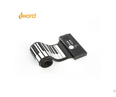 Iword S2029 49 61 Keys Roll Up Piano With Durable Silicone Keyboard