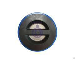 Acid And Alkali Resistance Dual Plate Check Valve