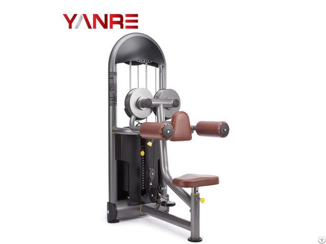 Seated Lateral Raise Fitnesscommercial Gym Strength Equipment Sports Machine