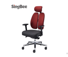 Ergonomic Dual Back Adjustable Office Chair Sing Bee