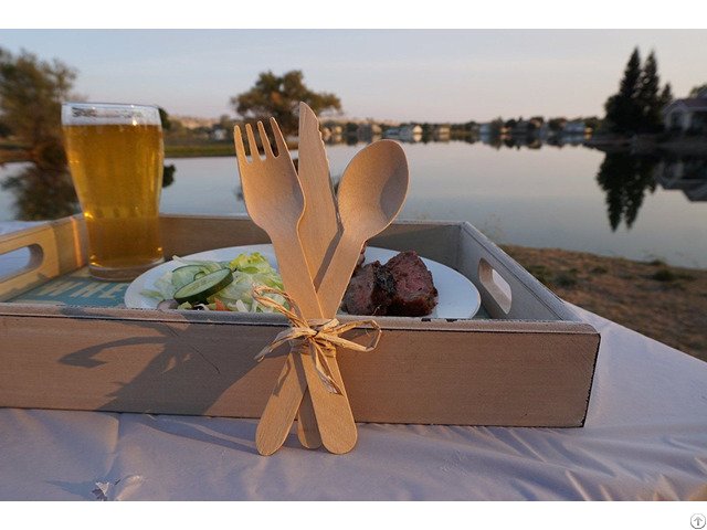 Disposable Wooden Cutlery