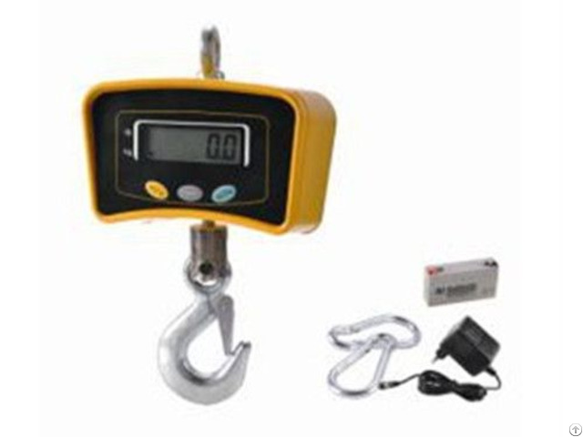 Crane Scale 30kg 10t