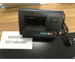 A12 Weighing Indicator Lcd Led