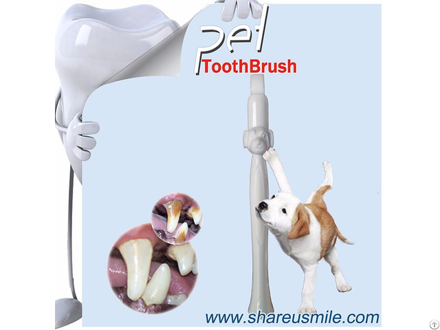 Patented Pet Dog Grooming Toothbrush Dental Care