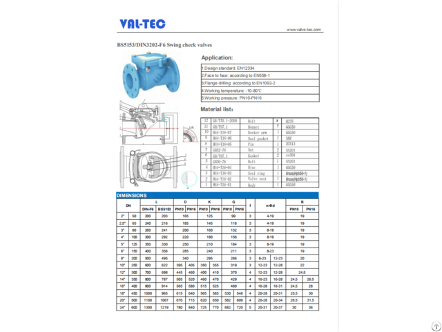 Bs5153 Din F6 Swing Check Valves