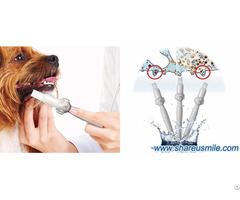 Why Need Home Dental Cleaning For Your Dogs