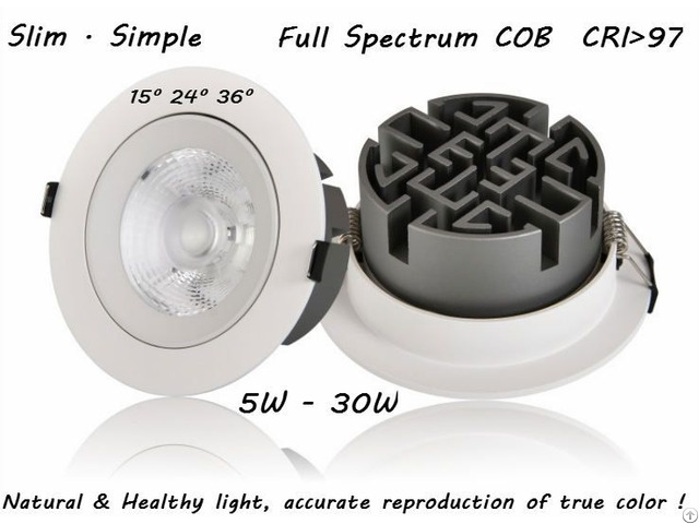 Full Spectrum Led Downlight