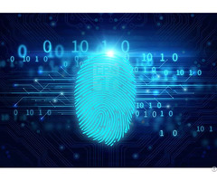 Miaxis Fingerprint Algorithm