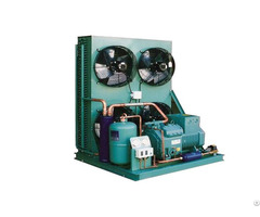 Two Stage Air Cooled Piston Condensing Unit