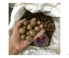 Macadamia Nuts From Viet Nam