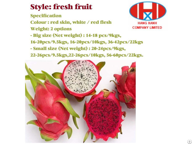 Fresh Dragon Fruits