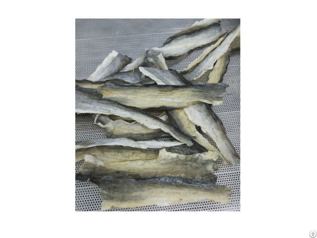 Dried Pangasius Skin From Viet Nam