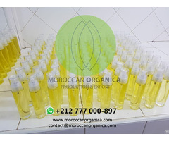 Organic Prickly Pear Seed Oil Wholesale Morocco