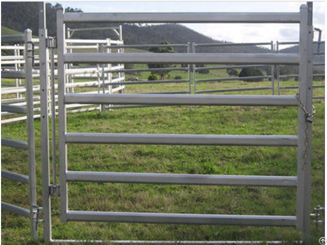 Sheep Panel For Sale