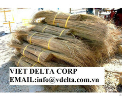 Palm Leaf Broomstick