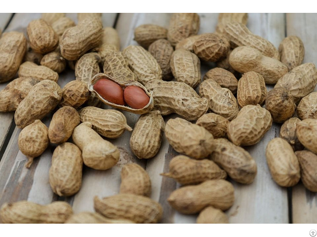 Peanuts For Sale