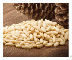 Pine Nuts For Sale
