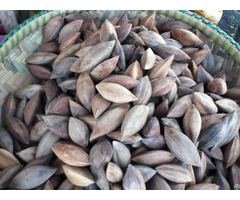 Pili Nuts For Sale