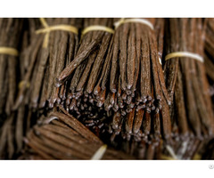 Vanilla Beans For Sale