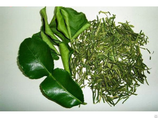 Dried Kaffir Lime Leaves For Sale