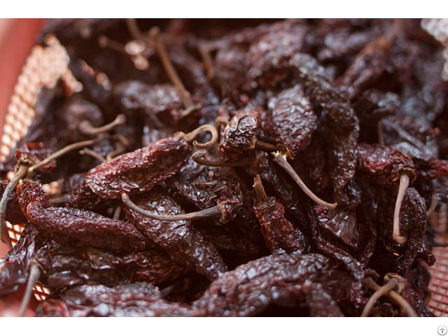 Pasilla De Oaxaca Chile For Sale