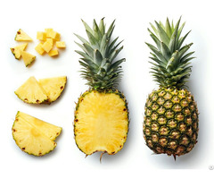 Pineapple For Sale