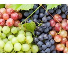 Grapes For Sale