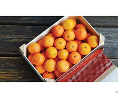 Mandarin Fruits For Sale