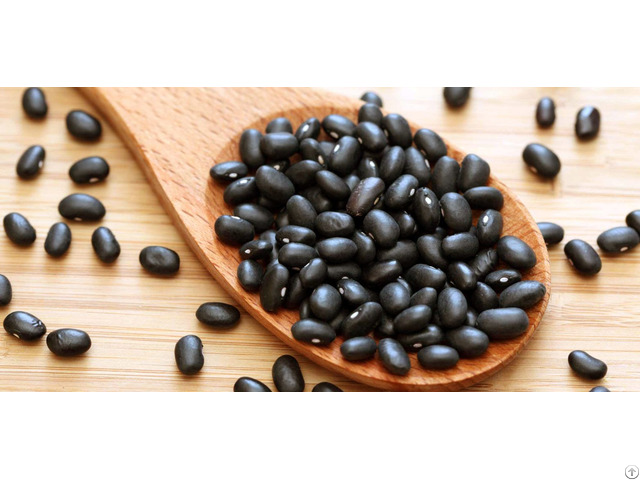 Black Beans For Sale