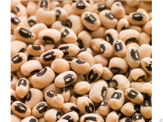 Black Eyed Peas For Sale