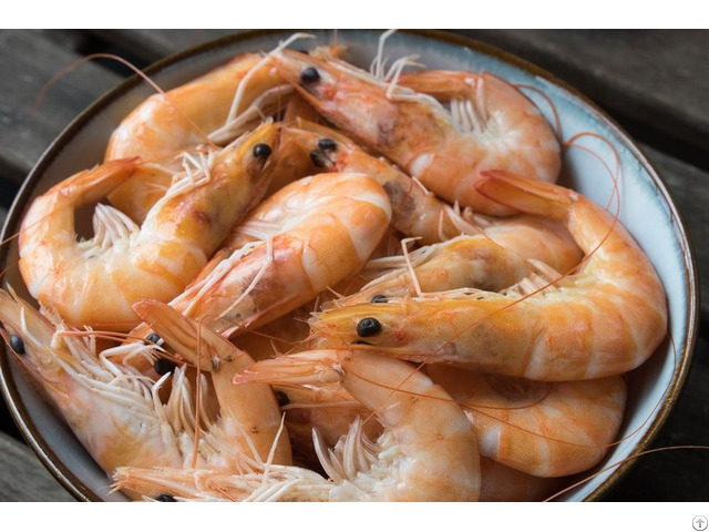 Shrimps For Sale