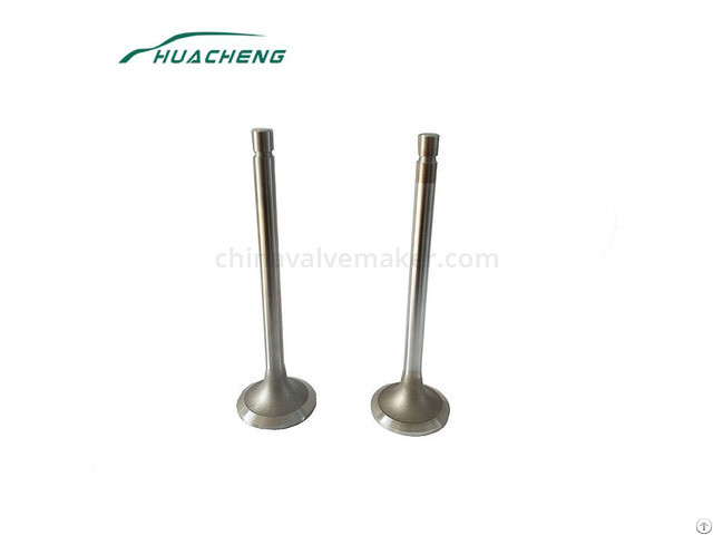 Marine Power Parts Engine Valve For Cummins K19