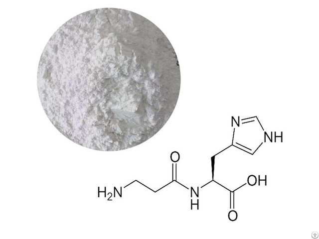 L Carnosine Powder