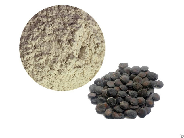 Griffonia Seed Extract