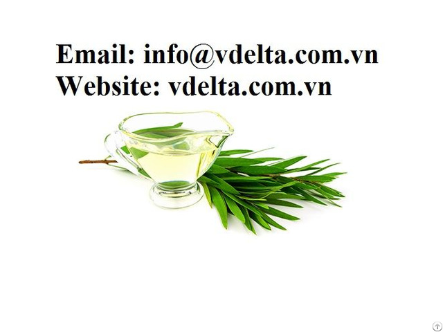 Melaleuca Essential Oil