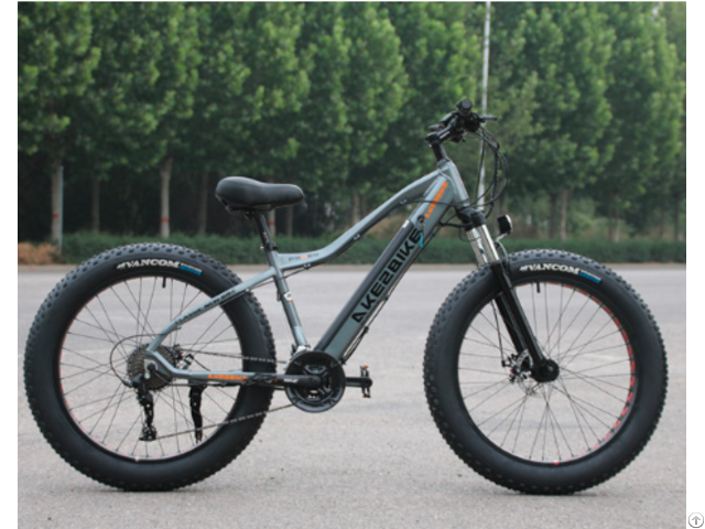 Customized High End Carbon Fiber Hybrid Electric Bike 2020