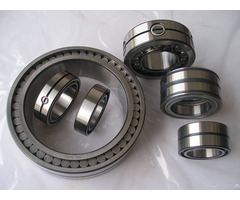 Full Complement Cylindrical Roller Bearing Sl045010pp