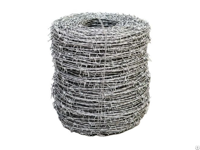 Barbed Wire Galvanized