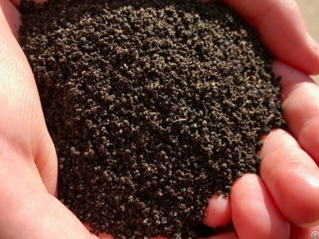 Vermicompost Vermi Casting Organic Fertilizer