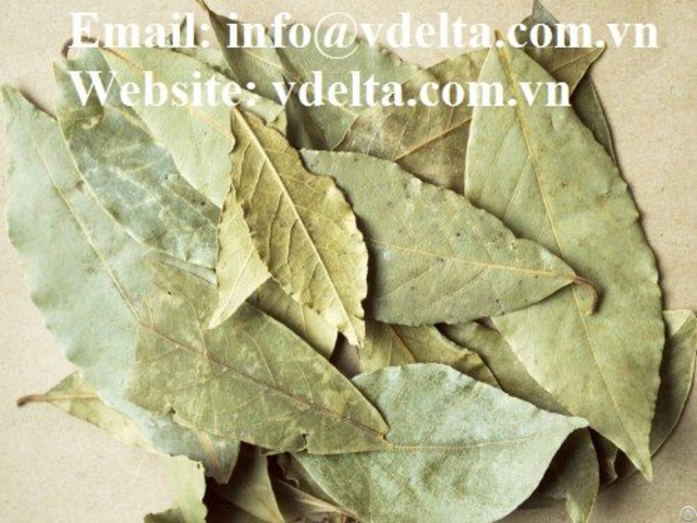 Organic Dried Soursop Leaf