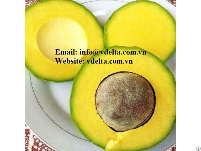 High Quality Hass Avocado From Viet Nam