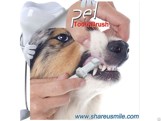 New Arrival Shareusmile Pet Toothbrush Professional Teeth Cleaning For Your Dog
