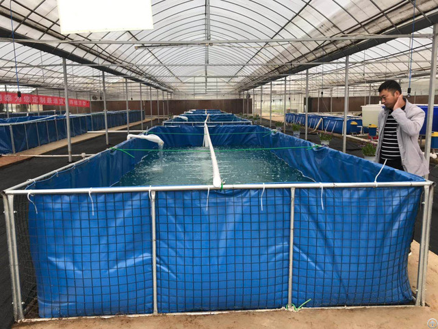 Pvc Tarpaulin Breeding Pool