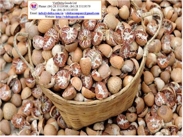 Top Quality Dried Betel Nut