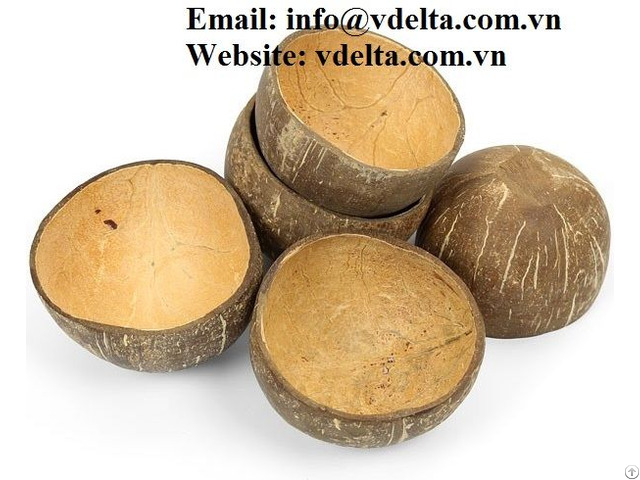 100 Percent Natural Coconut Shell Bowl