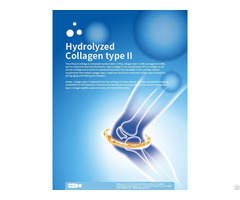 Hydrolyzed Collagen Type Ii