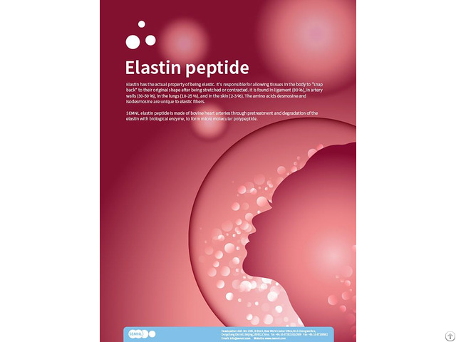 Elastin Peptide Treatments To Smooth Skin Texture